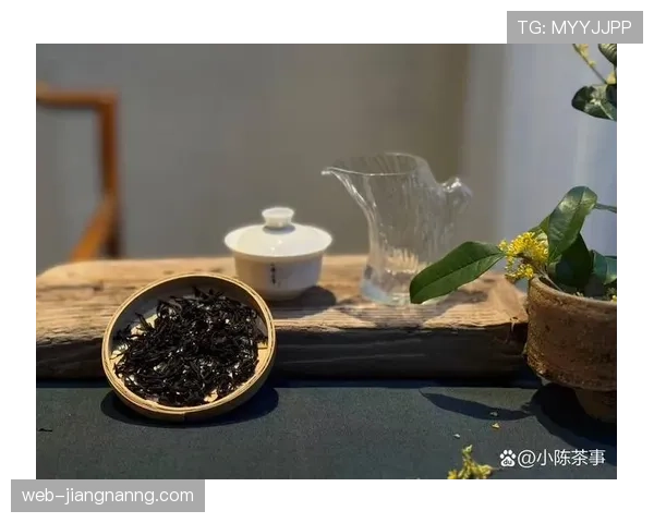 陆光祖又开始喝起小众贵价茶了，这日子活成谁都羡慕不来